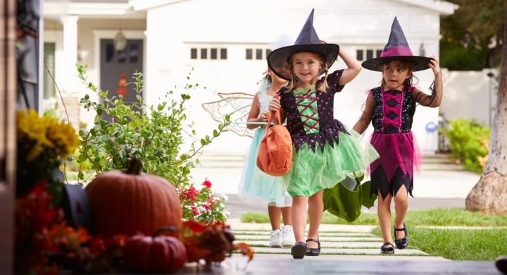 halloween home security, video surveillance, motion sensor
